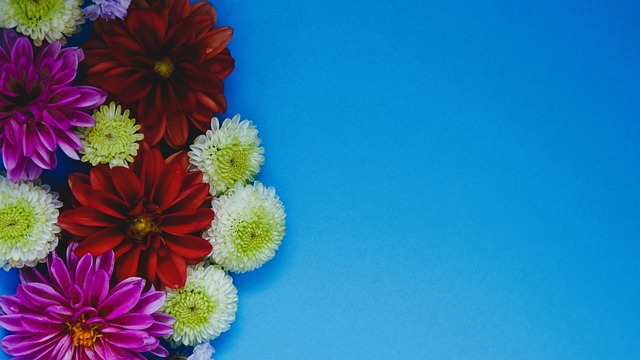 响其在季后 响其在季后