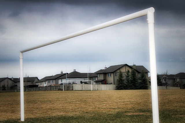 某些替补球 某些替补球