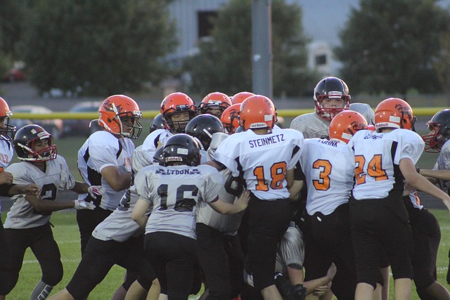 入了多项表 入了多项表