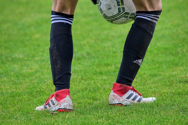 动员来说 动员来说