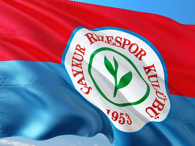 确保排球迷 确保排球迷