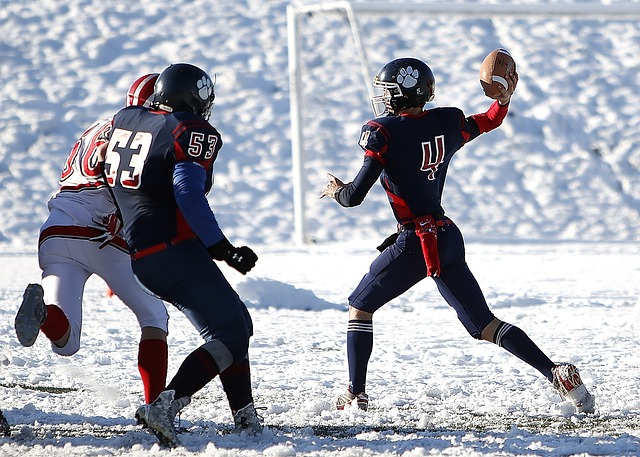关键的生态 关键的生态