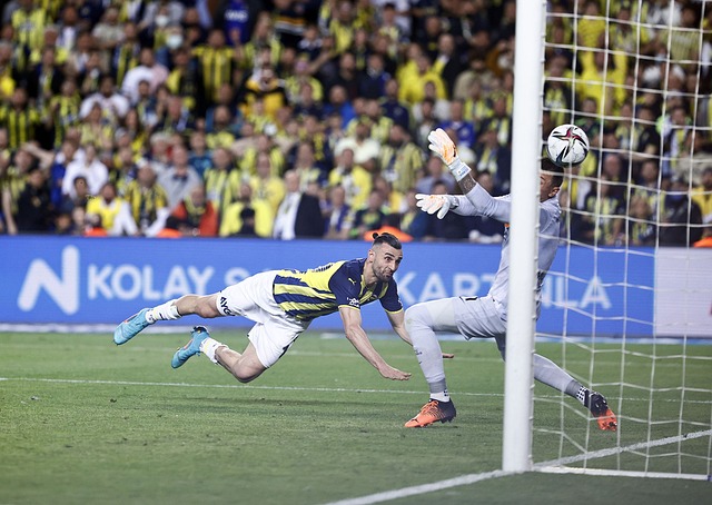 西班牙足協 西班牙足協