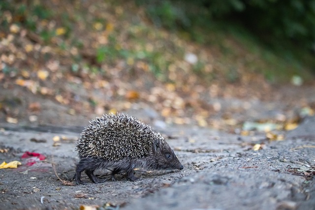 由此可见 由此可见